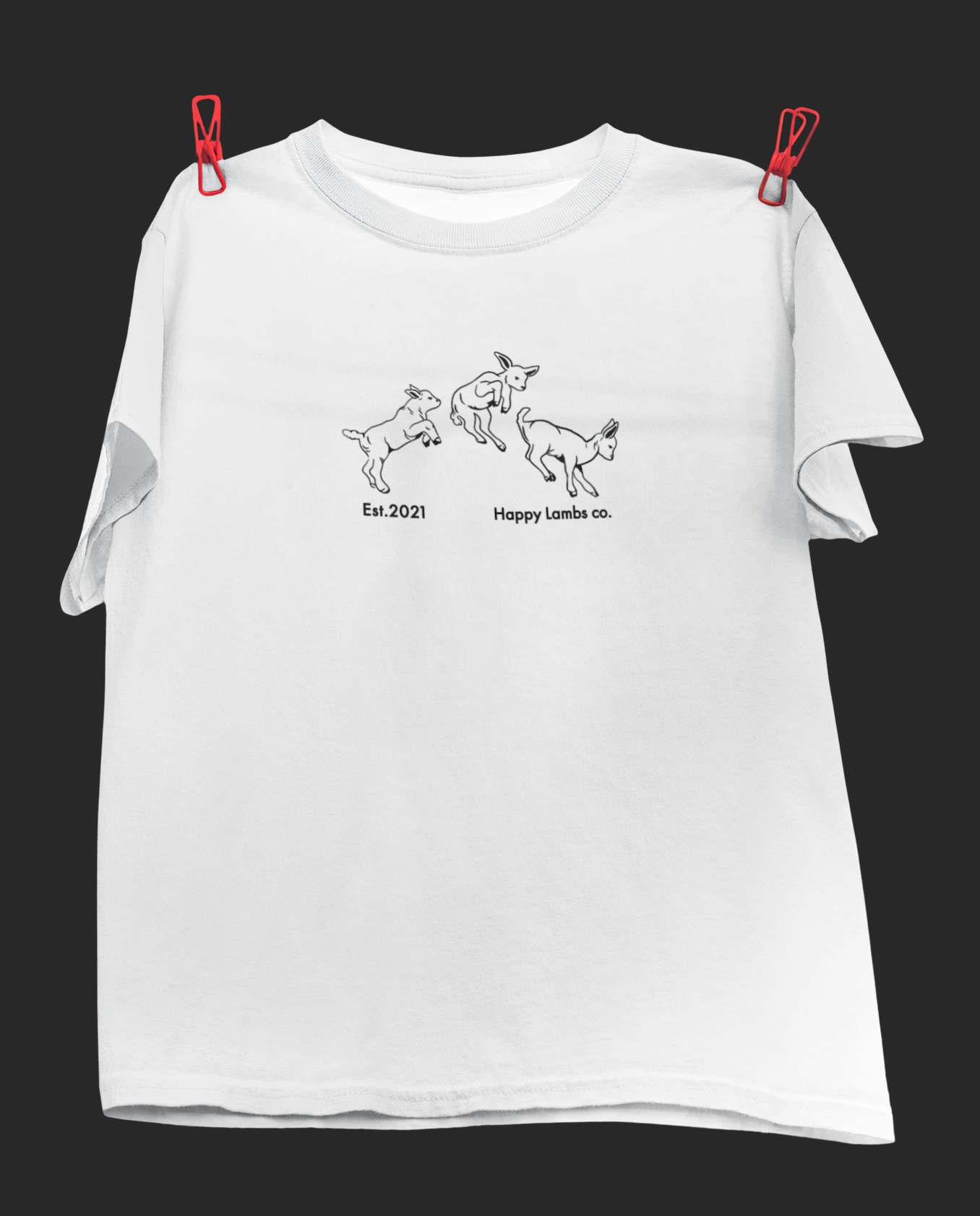 LANCASHIRE LAMB BOX MERCH - LAMB TEE